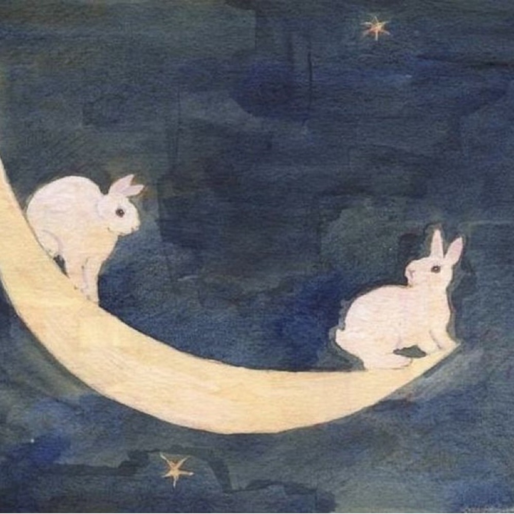 Meet your Posher, Chloe